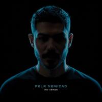 Mir Ahmad Pelk Nemizad
