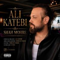 Ali Katebi Shah Mohre