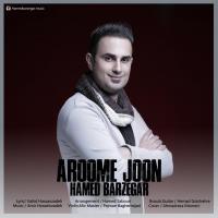 Hamed Barzegar Aroome Joon