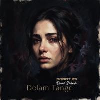 Omid Saeedi ft. Robot 29 Delam Tange (Persian Rock Reimagined)
