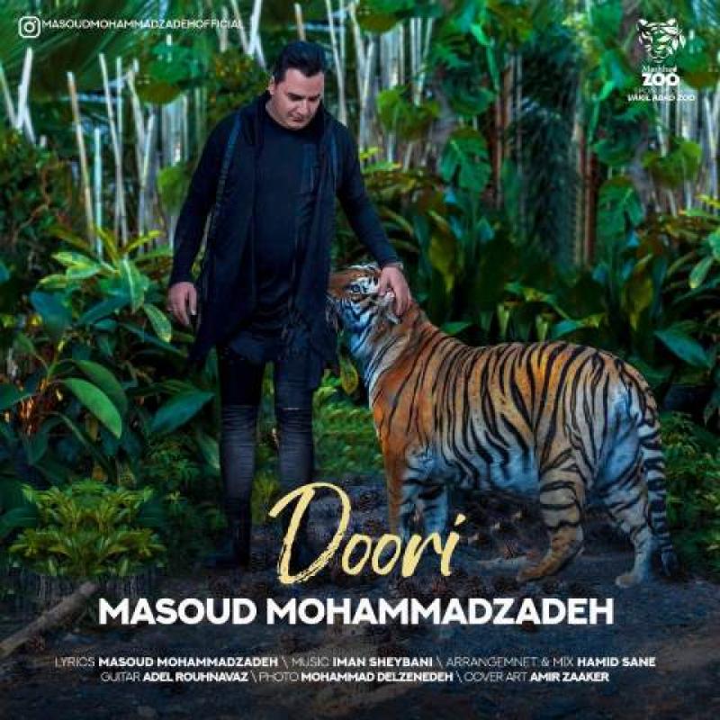 Masoud Mohammadzadeh