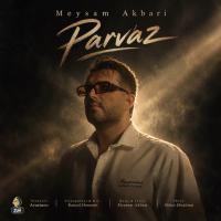 Meysam Akbari Parvaz