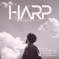 DJ One K Harp