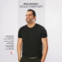 Hamed Dehghani Gole Maryam