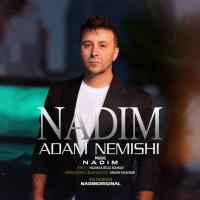 Nadim Adam Nemishi