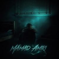 Mohammad Amiri Mamad Amiri