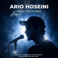 Ario Hoseini Mese On Shaba