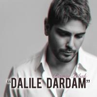 Ramin Bibak Dalile Dardam