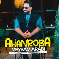 Meysam Arabi Ahanroba