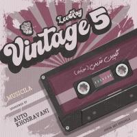 LeeRoy BeatZ Vintage 5