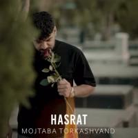 Mojtaba Torkashvand Hasrat