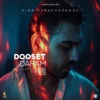 Sina Derakhshande Dooset Daram