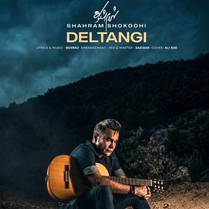 Shahram Shokoohi Deltangi