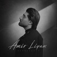 Amir Liyam Sarnevesht