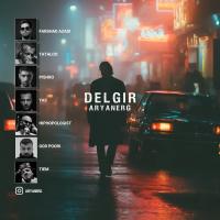 Aryanerg Delgir