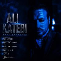 Ali Katebi Nari Bargardi