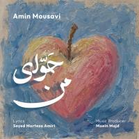 Amin Mousavi Havvaye Man
