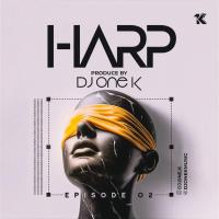 DJ One K Harp 2