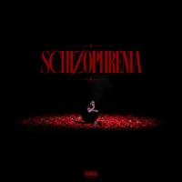 Big Shaggy x Hatam Schizophrenia