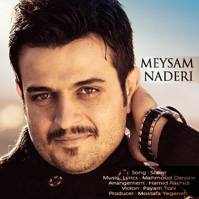 Meysam Naderi Sokut