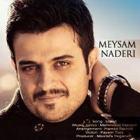 Meysam Naderi Sokut