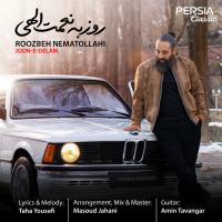 Roozbeh Nematollahi Joone Delam