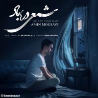 Amin Mousavi Shami Dar Bad