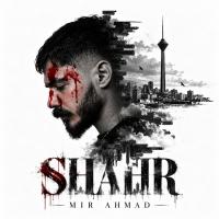 Mir Ahmad Shahr