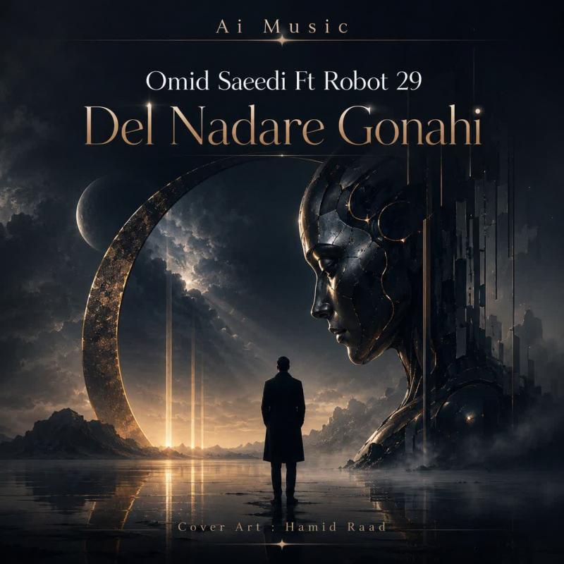 Omid Saeedi , Robot 29 Del Nadare Gonahi