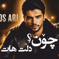 Zagros Ari Chon