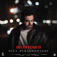 Sina Derakhshande Delam Tangete