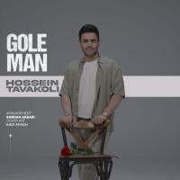 Hossein Tavakoli Gole Man