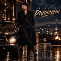 Ali Katebi Divoonegi