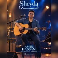 Amin Hassani Sheyda