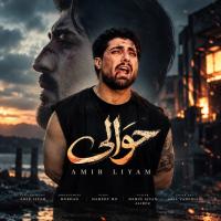 Amir Liyam Havali
