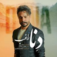 Ragheb Dena