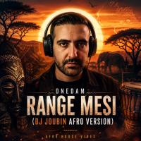 ONEDAM Range Mesi (Dj Joubin Mashup)