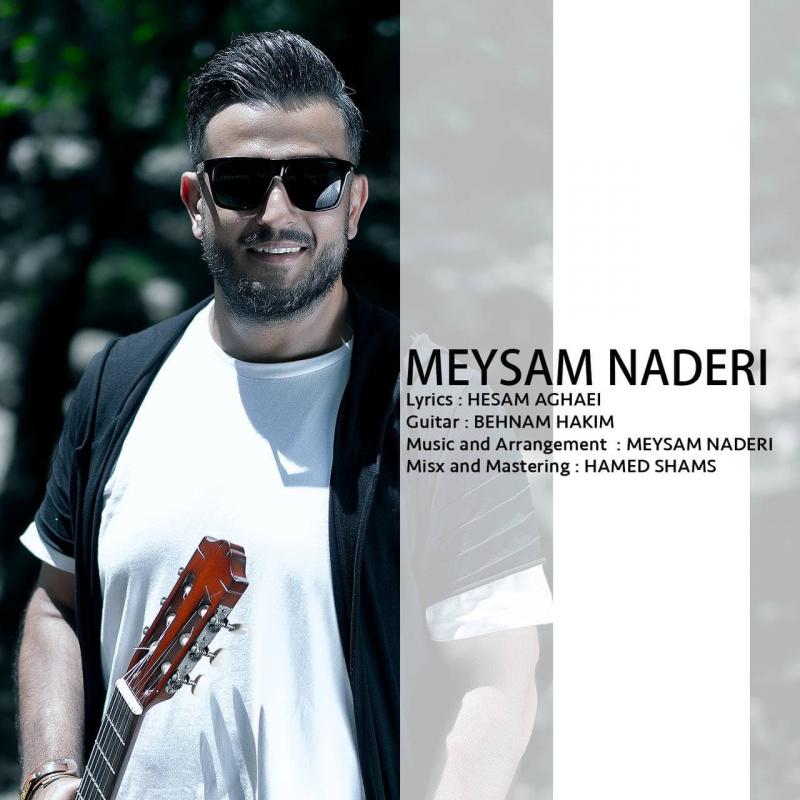 Meysam Naderi