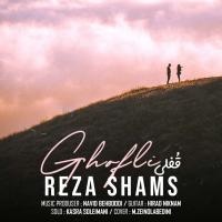 Reza Shams Ghofli
