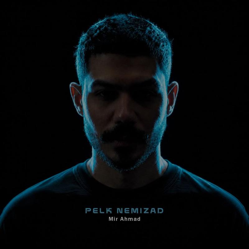 Mir Ahmad Pelk Nemizad