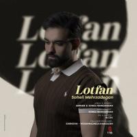Soheil Mehrzadegan Lotfan