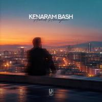 Hamed Homayoun Kenaram Bash