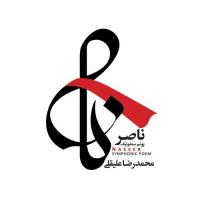 Mohammadreza Aligholi Surprise
