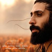 Mehrad Tavakolian Gole Lale