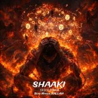 Yaser Binam Shaaki