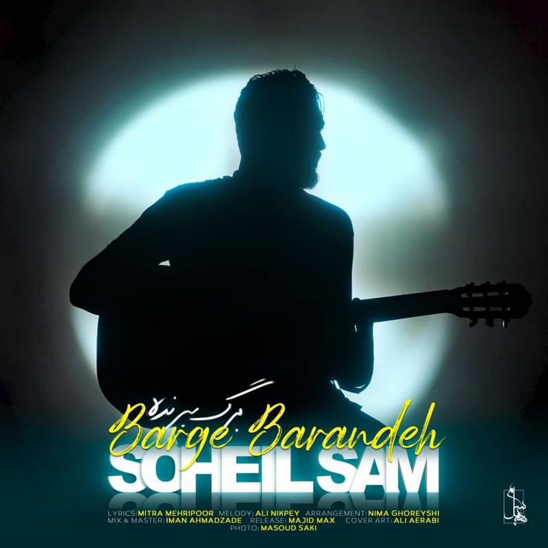 Soheil Sam