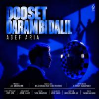 Asef Aria Dooset Daram Bi Dalil