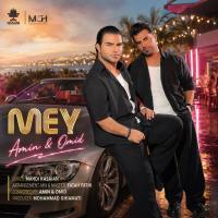 Amin & Omid Mey