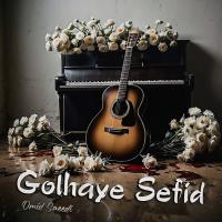 Omid Saeedi ft. Robot 29 Golhaye Sefid
