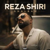 Reza Shiri Ghalbam